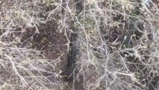 Расчеты «Гиацинт-С» группировки «Восток» нарушили управления БПЛА противника в Запорожской области