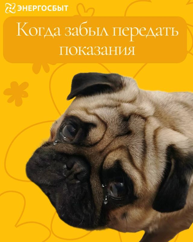 Порядок действий населения по сигналу гражданской обороны Порядок действий населения по сигналу гражданской обороны