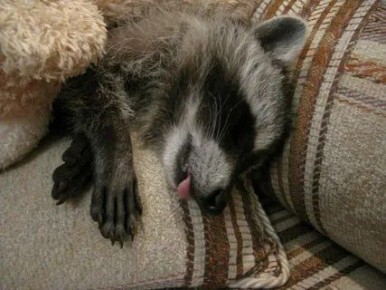 ������ ����, ������� ����������! ������ ����, ���������!