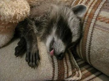 Доброй ночи, дорогие подписчики! Доброй ночи, Запорожье!