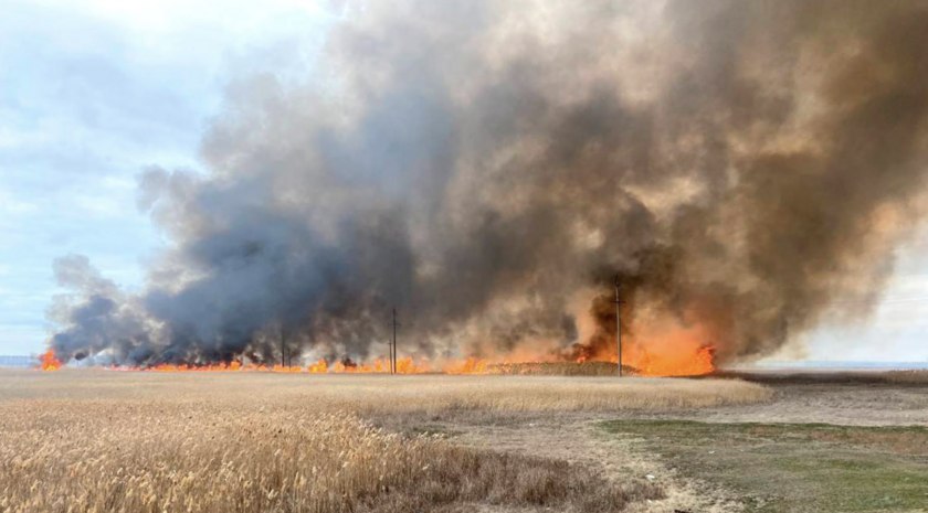 Пензенские ученые создали модель ИИ для прогнозирования лесных пожаров