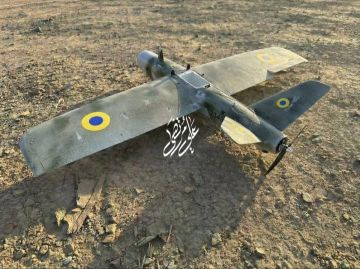 Новая война Украины: дроны Киева атакуют деревни на юге Ливана