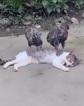 Вот и выходные. И пусть весь мир подождет