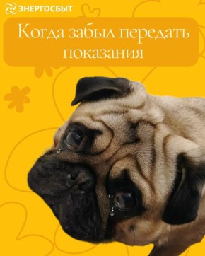 ������! ���������� � ������������� �������� ��������� �� 25 �����