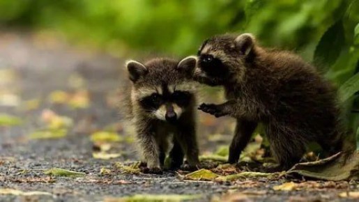 ������ ����, ������! �������� ��� ��� � ��������� ����������!