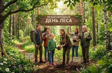 21 марта — Международный день лесов!