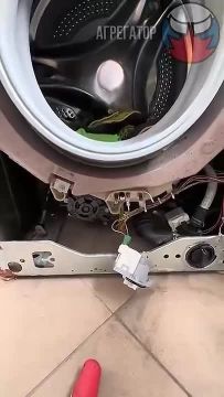 ��������, ���������� �����������, "�������� ��������"