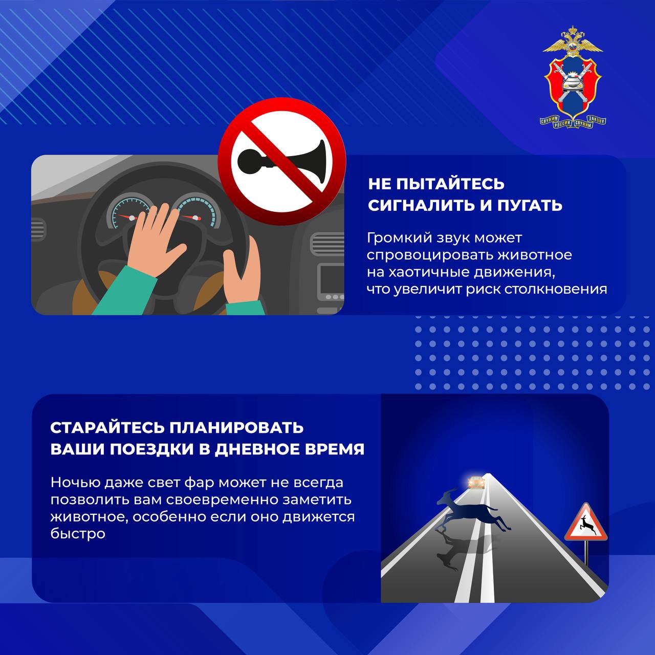 Как избежать столкновения с дикими животными на загородных трассах Как избежать столкновения с дикими животными на загородных трассах