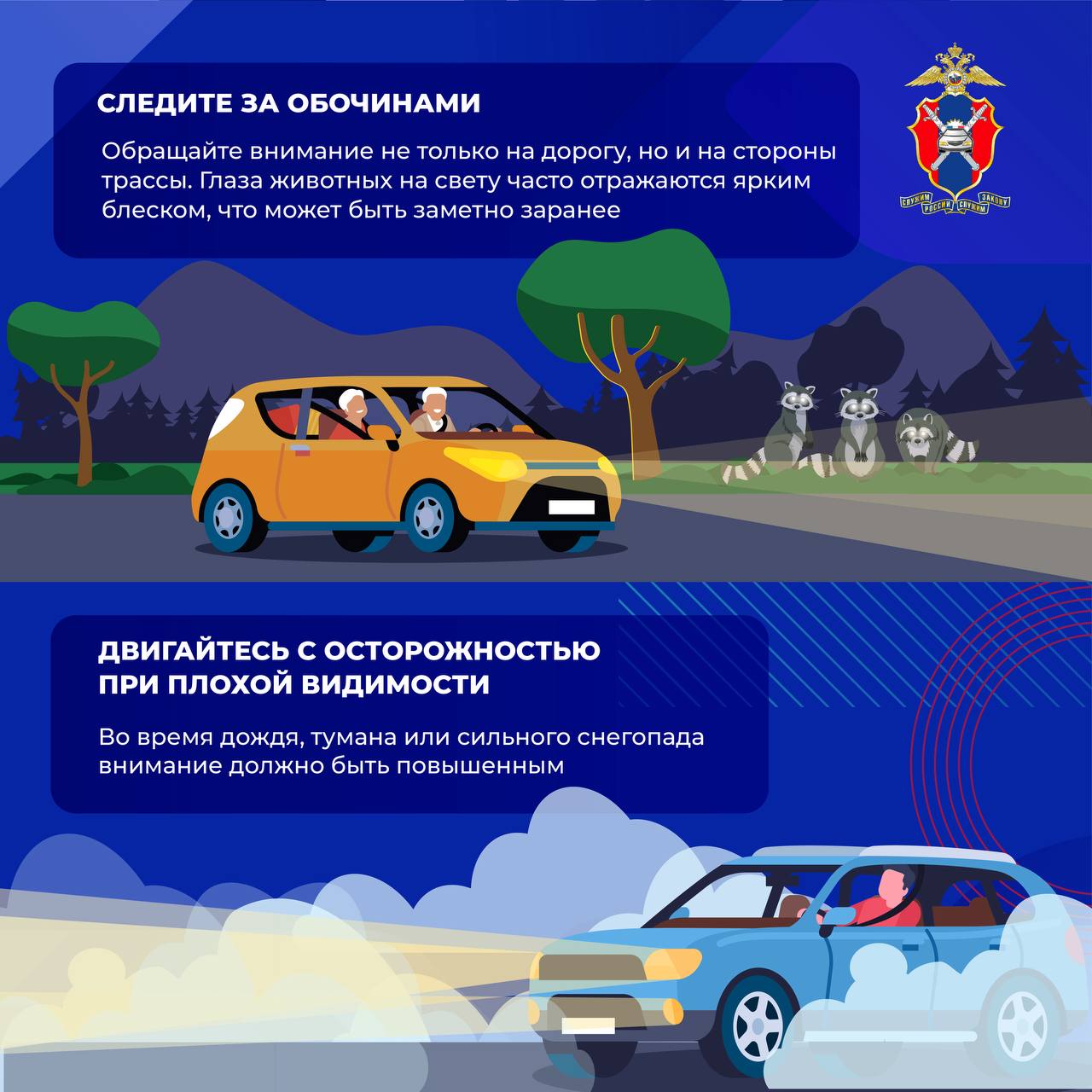 Как избежать столкновения с дикими животными на загородных трассах Как избежать столкновения с дикими животными на загородных трассах