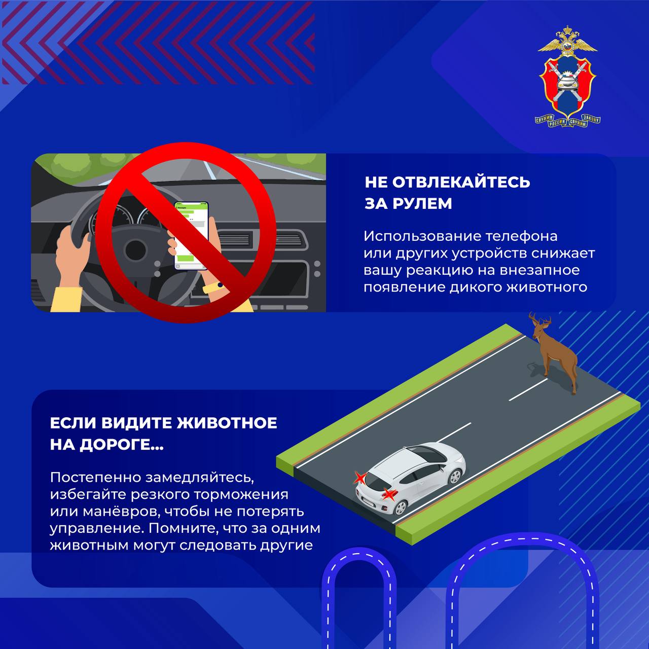 Как избежать столкновения с дикими животными на загородных трассах Как избежать столкновения с дикими животными на загородных трассах