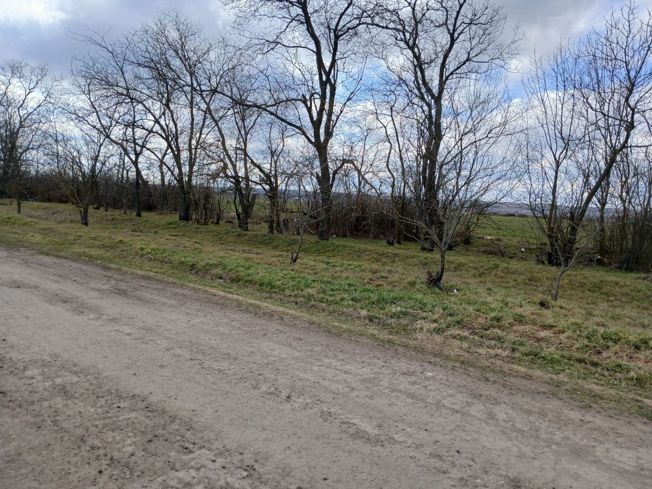 Сотрудники МБУ «Жилсервис» продолжают работы по наведению порядка на территории Зареченского территориального отдела Сотрудники МБУ «Жилсервис» продолжают работы по наведению порядка на территории Зареченского территориального отдела