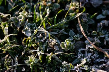 Погода на новых территориях России