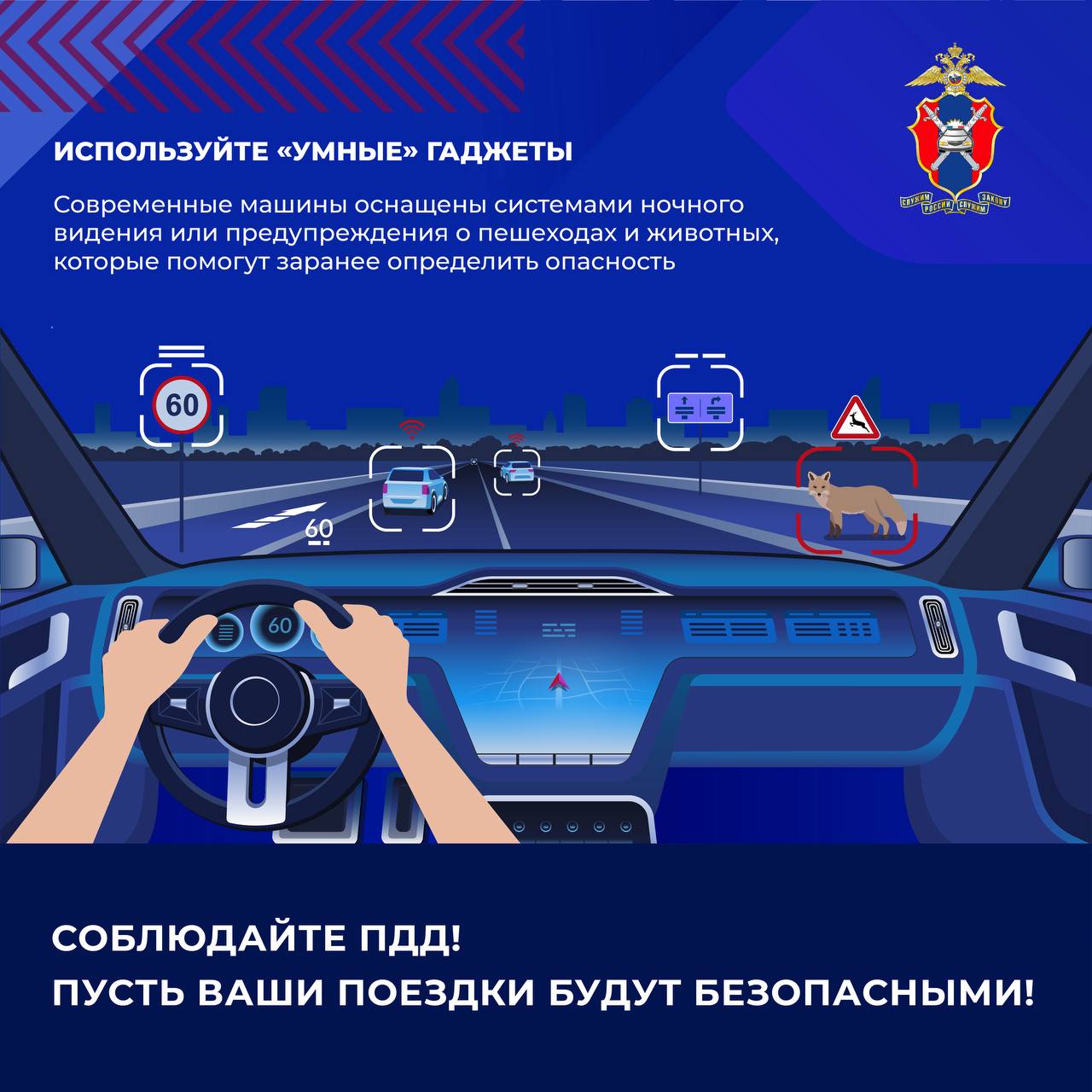 Как избежать столкновения с дикими животными на загородных трассах Как избежать столкновения с дикими животными на загородных трассах