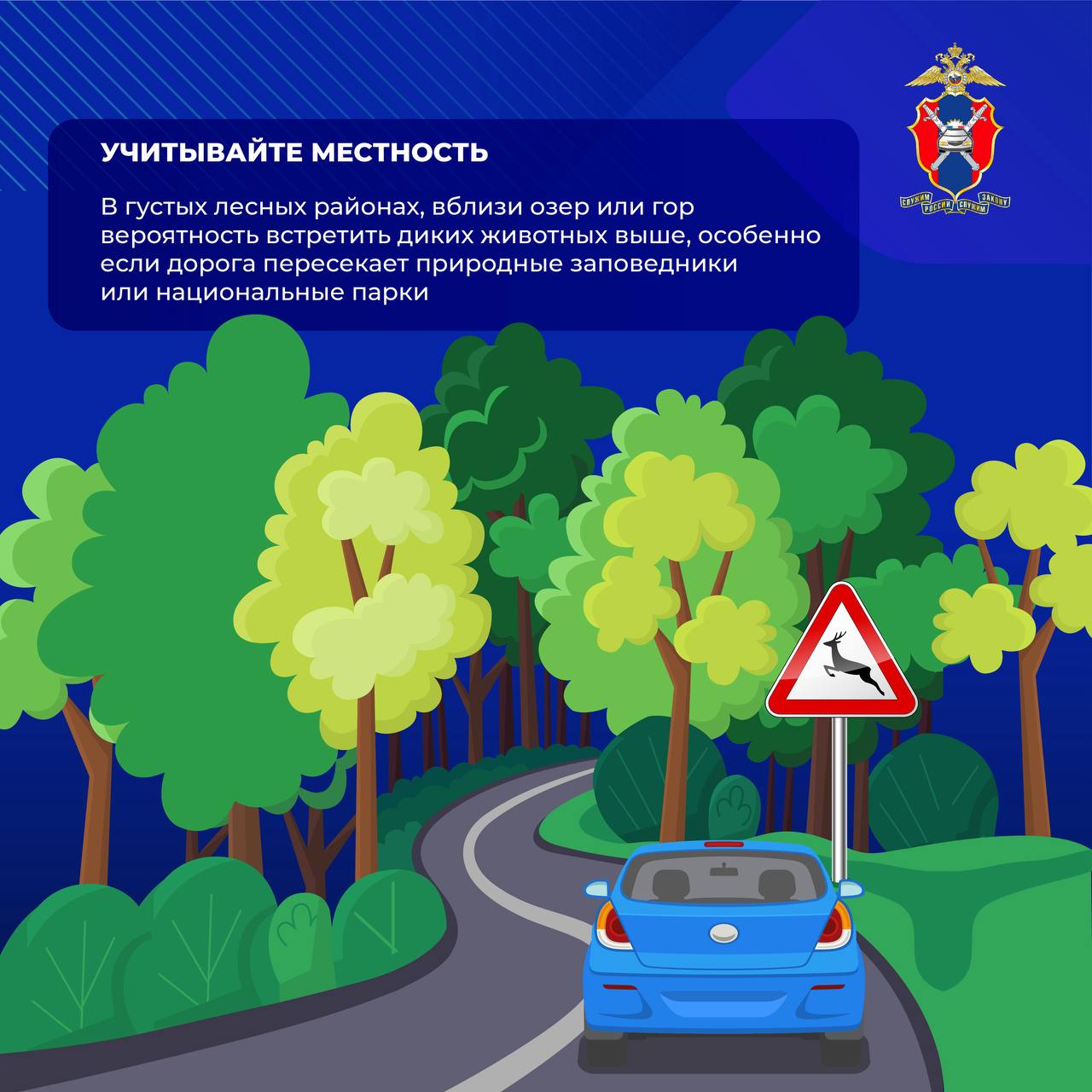 Как избежать столкновения с дикими животными на загородных трассах Как избежать столкновения с дикими животными на загородных трассах