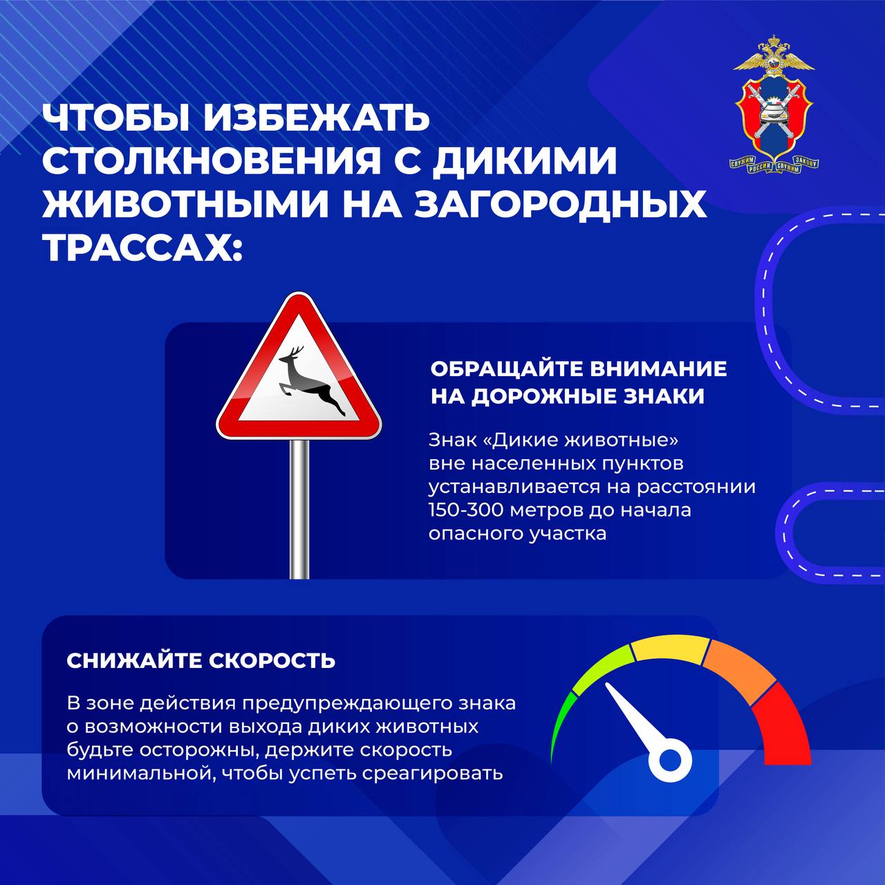 Как избежать столкновения с дикими животными на загородных трассах Как избежать столкновения с дикими животными на загородных трассах