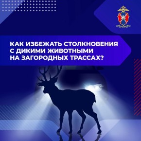 ��� �������� ������������ � ������ ��������� �� ���������� �������