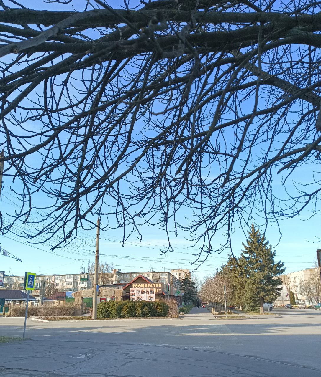 Пусть в момент, когда откроются глаза, откроются и пути к удаче, счастью и везению, и каждое мгновение этого утра сопровождается мощным позитивом, улучшая настроение в сотни раз, придавая сил, мотивации и желания покорить...