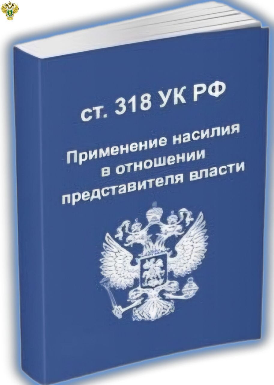 В Энергодаре вынесен приговор по уголовному делу о применении насилия в отношении сотрудника полиции