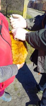 ������ � �������� ��������: ����� �������� ���������� � ������������ ������������� ������