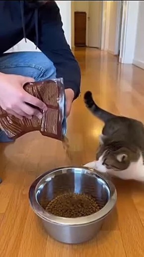 ����� ������ ��������. ���������� ���������� � ������ �� ������