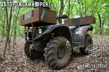 ���� ������� ���� � ������������ �����������