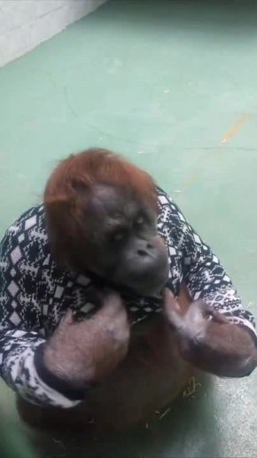 ����� ��������� ������� ������ 5 ���, � �� �� ���������