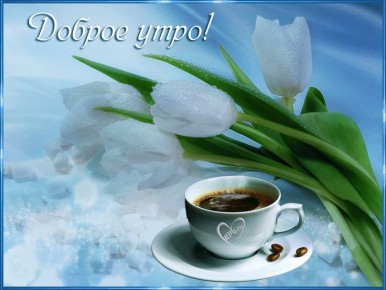 � ������ ����� ������������