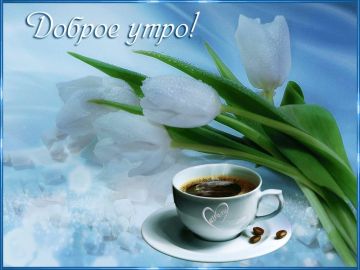 � ������ ����� ������������