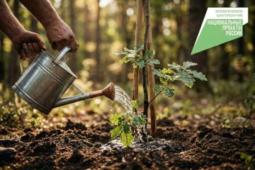 ������� ��������: � 2026 ���� ������������ ���� �������� ���, ������������� � ������������ ������������� ������, ����� � ������ ����� ���������� ��������� ���������� ������������ ��������