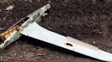 ���������� ���� ��������� ��� ���������� � ����������� �������