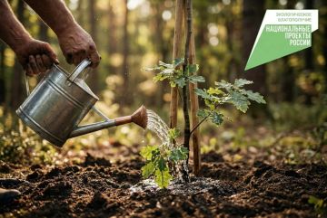 ������������ ���� �������� ��� ������� ������ ����� ���������� ���������� ������������ ��������