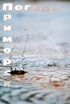 ������ �������� (���������� �����), 24.03.2026