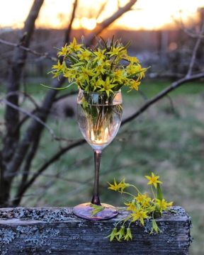 ������� ���� ������!