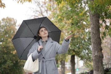 ����� ����� ������ � ����������� ������� 25 ����� 2026 ����