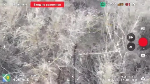 ��������� ���������� ������ �����������