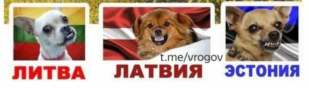 �������� �����: ������� ���� �� ������, ����� � �������!