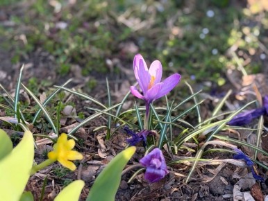 ������ ����!. 25�����, ����� ��� ����� ����������� �������: ����� ����� �������� ������� � �����, � ������� ���������� ������� ������ ����� ������ ���� ������