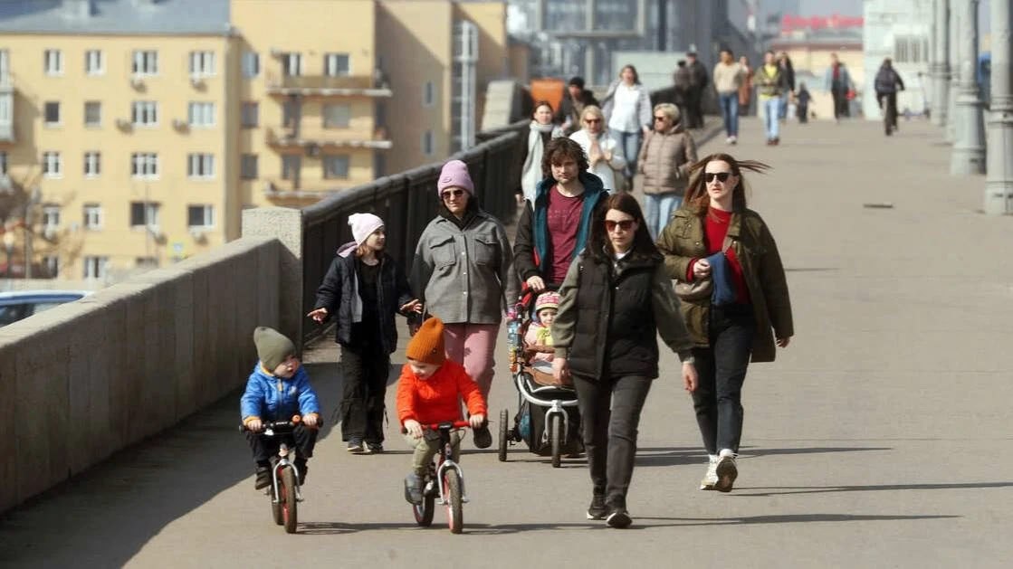 Владимир Путин запретил изымать у многодетных семей участки и автомобили за долги