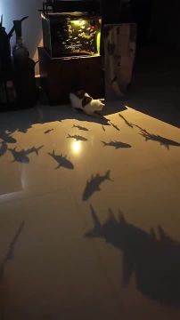 Вот и вечер. Наконец можно уделить время любимому занятию