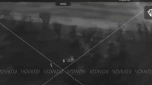 ����������� ������ ������ ���������� � ������ �.�. �����������, ����������� �������: ������ ������ ���������� ���� 14 ����������� ������� �������� ����������� ����� "������"