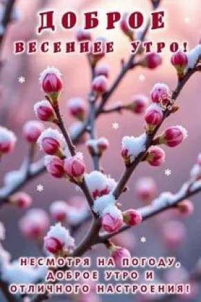 � ������ ����� ������������