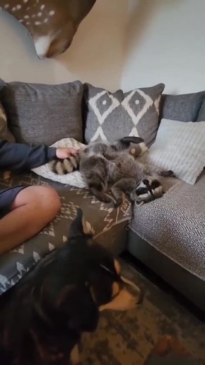 ������ ����, ������! �������� ��� ��� � ��������� ����������!