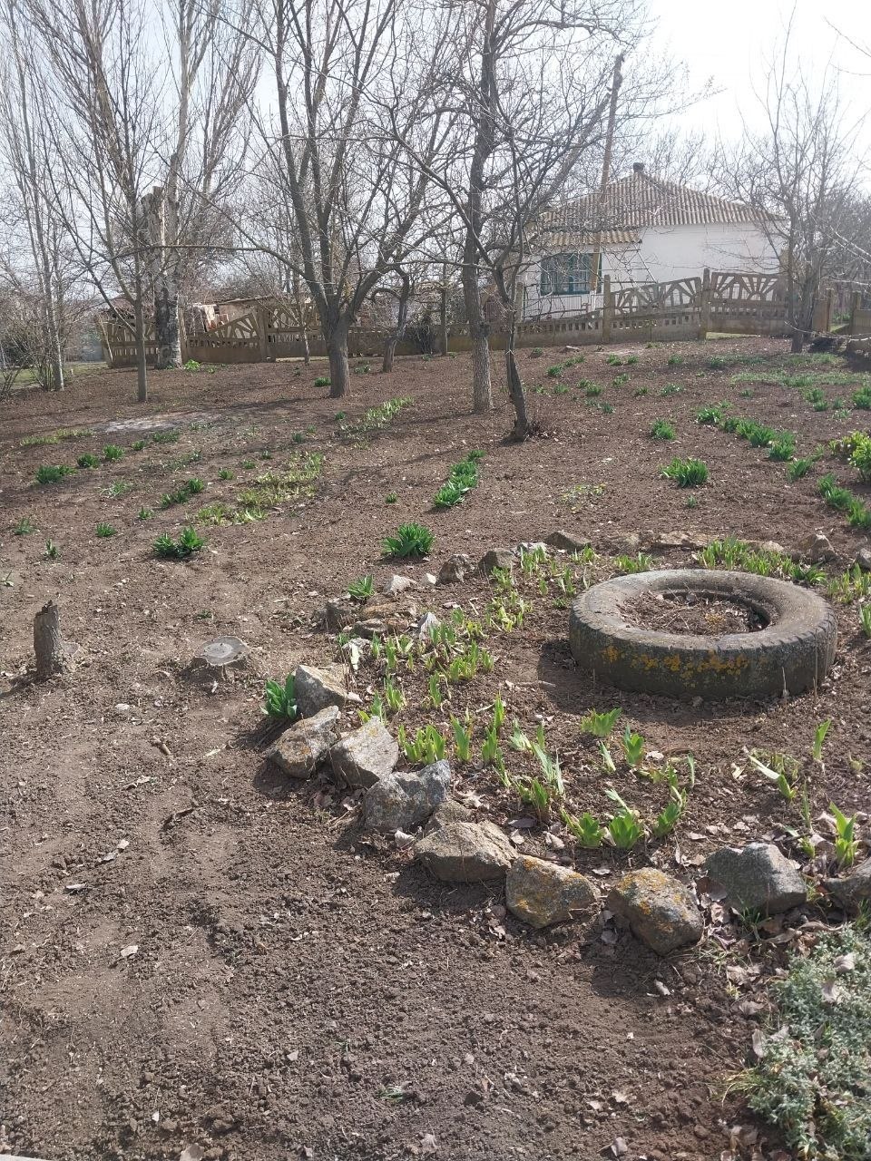 Весна — время перемен и добрых дел! Весна — время перемен и добрых дел!