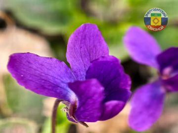 Доброго утра!. Желаем, чтобы радость сегодня была безграничной