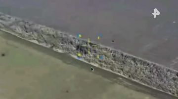 ���������� ����� ���������� ������ ���������� ���� ��� � ����������� �������