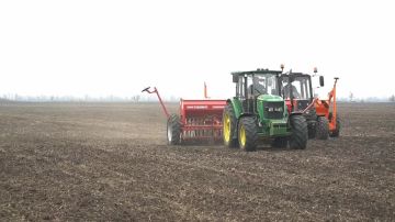 � ����������� ������� ������������ �������� ��������