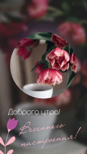 � ������ ����� ������������