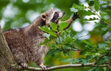 Доброе утро, друзья! Хорошего вам дня и отличного настроения!