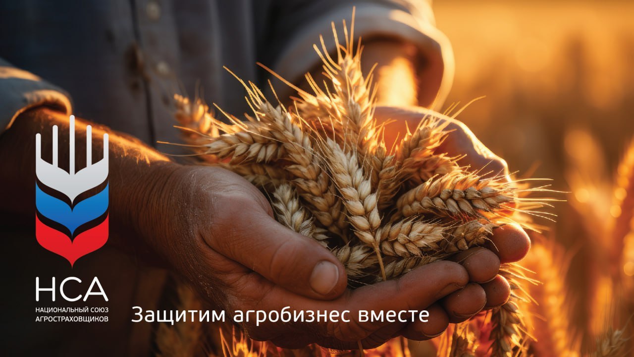 Аграрии ДНР, ЛНР, Запорожской и Херсонской областей с 2027 года должны получить доступ к системе агрострахования с господдержкой – соответствующий проект Постановления Правительства РФ об изменении Госпрограммы развития...