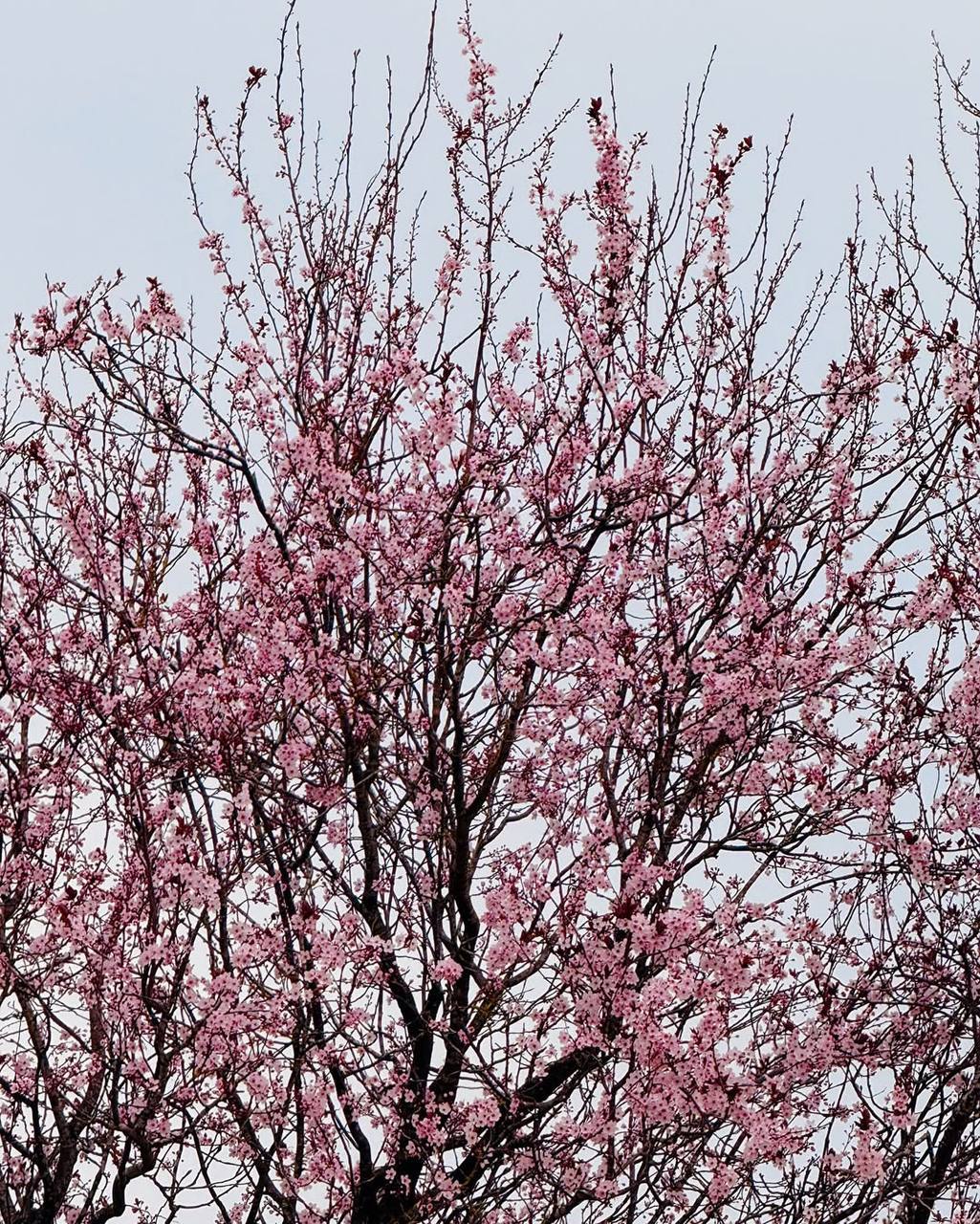 Если планируете поездку на выходные - сейчас отличный повод заглянуть в Краснодар Если планируете поездку на выходные - сейчас отличный повод заглянуть в Краснодар